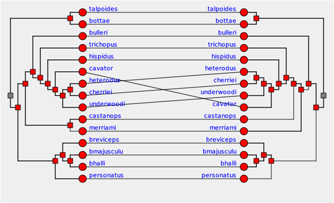 tanglegram.png